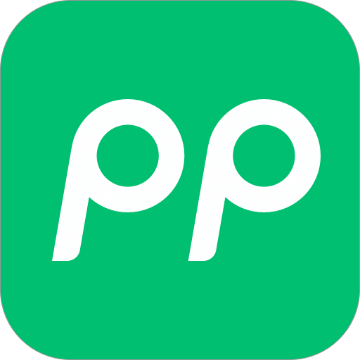 PP 停车
