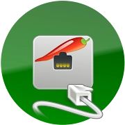 aSPICE: Secure SPICE Client