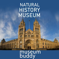 Natural History Museum 4 You